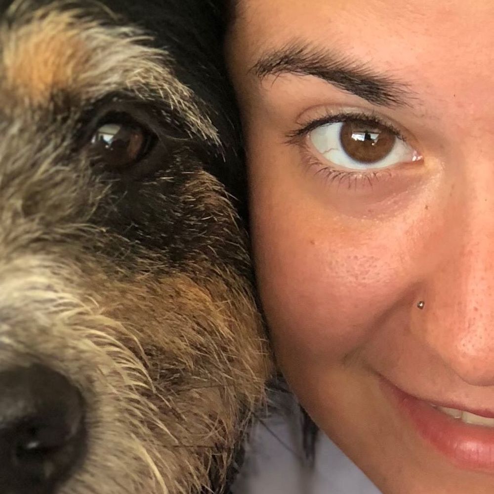 Meet your Posher, Ren